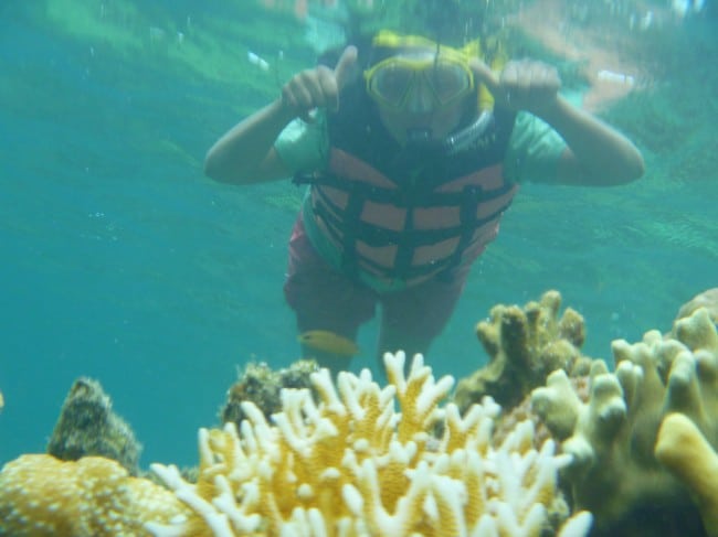 Coral Garden - Coron Palawan