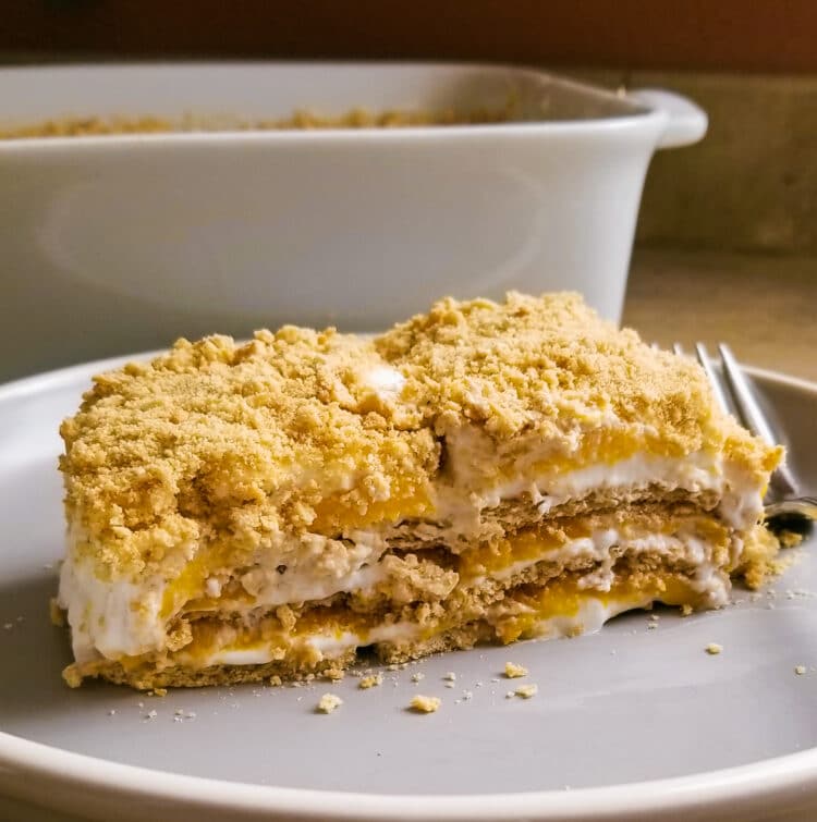 This FILIPINO MANGO FLOAT CAKE is a Filipino version of ice box cake and it's famous as potluck recipe for parties. Replace the mango with different fruits.