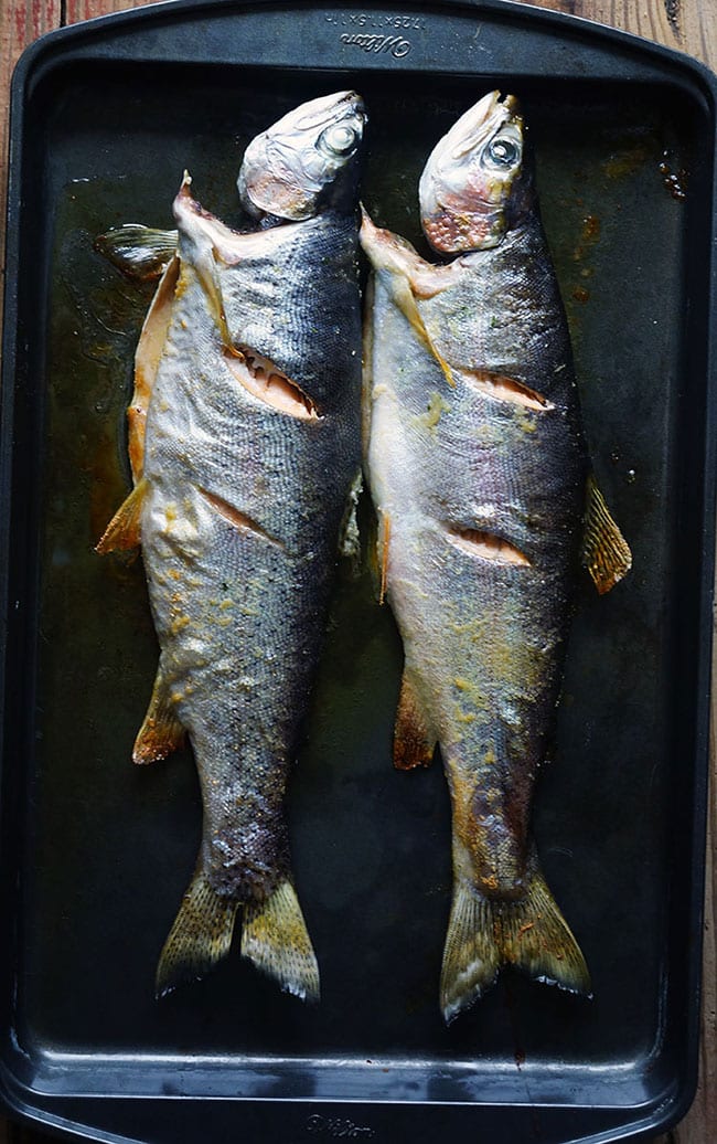 How to Bake Rainbow trout