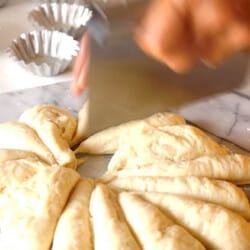 Divide the dough to 12 to 16 pieces