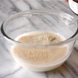 MIx yeast and warm milk together until it blooms or forms a bubble