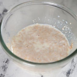 HOw should the yeast look like