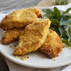 Pan Fried Panko Crusted Chicken with Mayo
