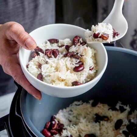 10 Instant Pot Duo Crisps Rice Recipes