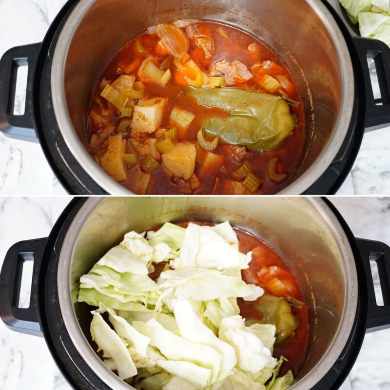 Beef and Cabbage Stew Recipe (Instant Pot)