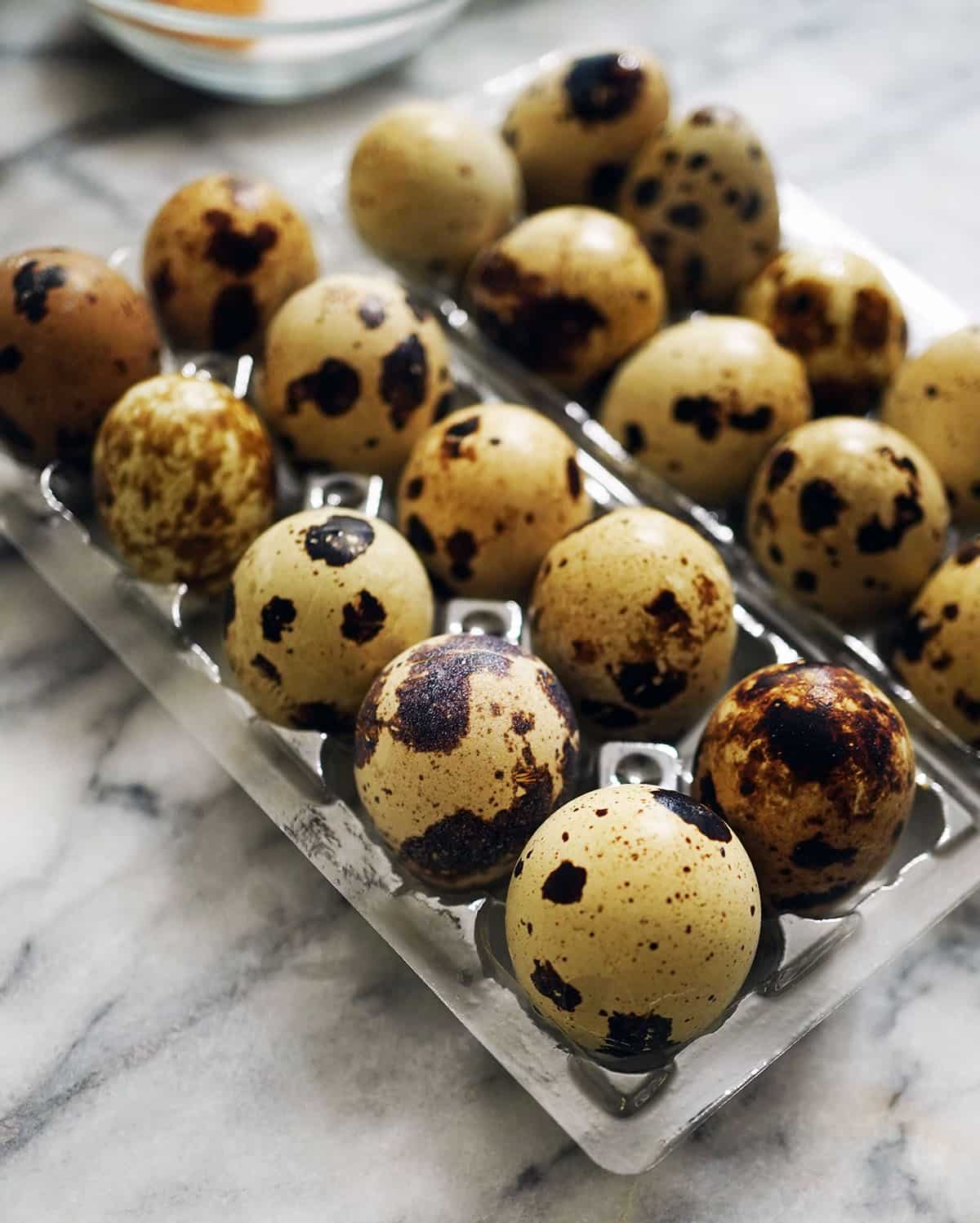 Quial Eggs