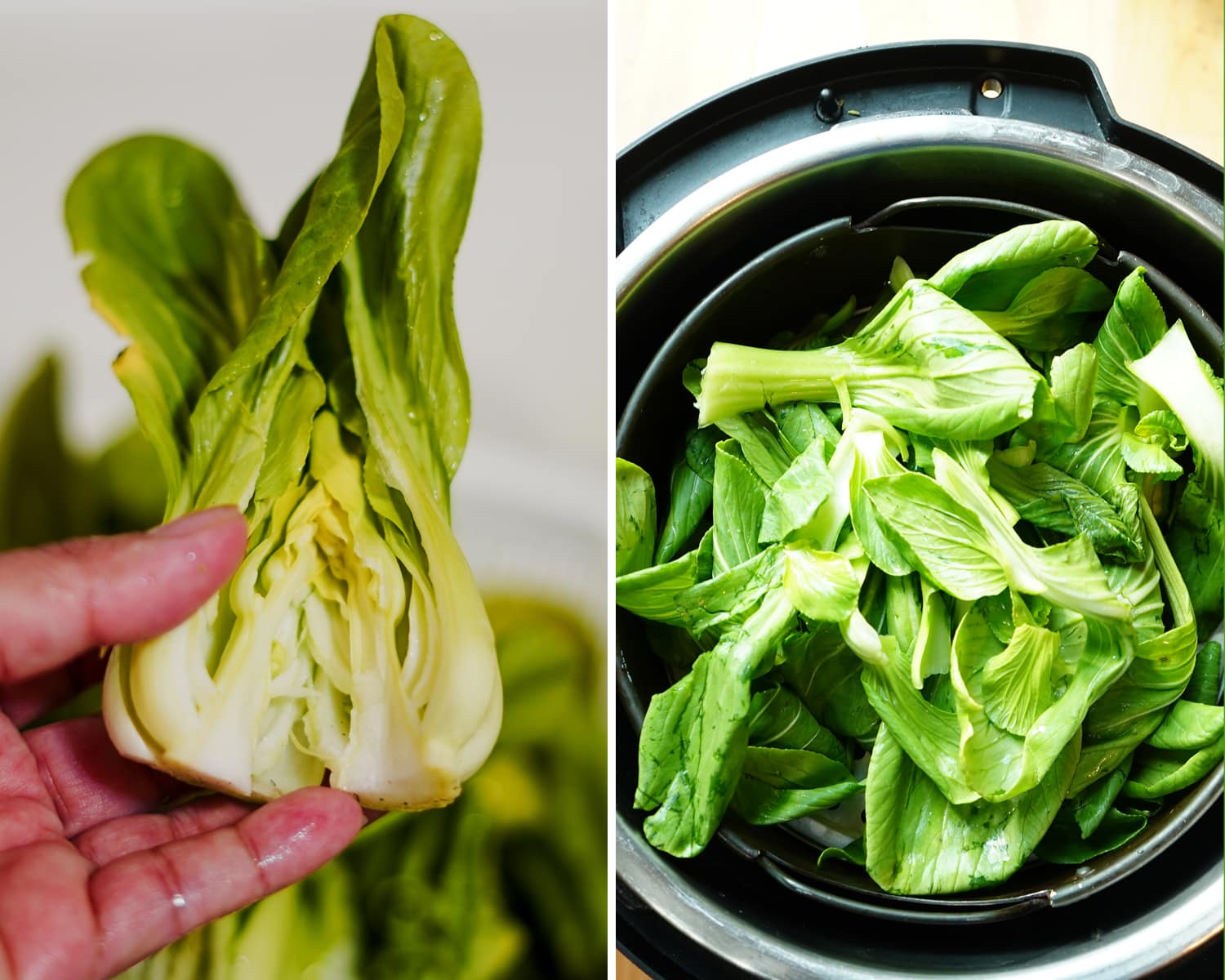Bok Choy Steamed in Oyster Garlic Sauce The Skinny Pot