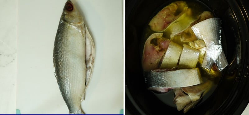 Clean the Bangus and arrange in the slow cooker