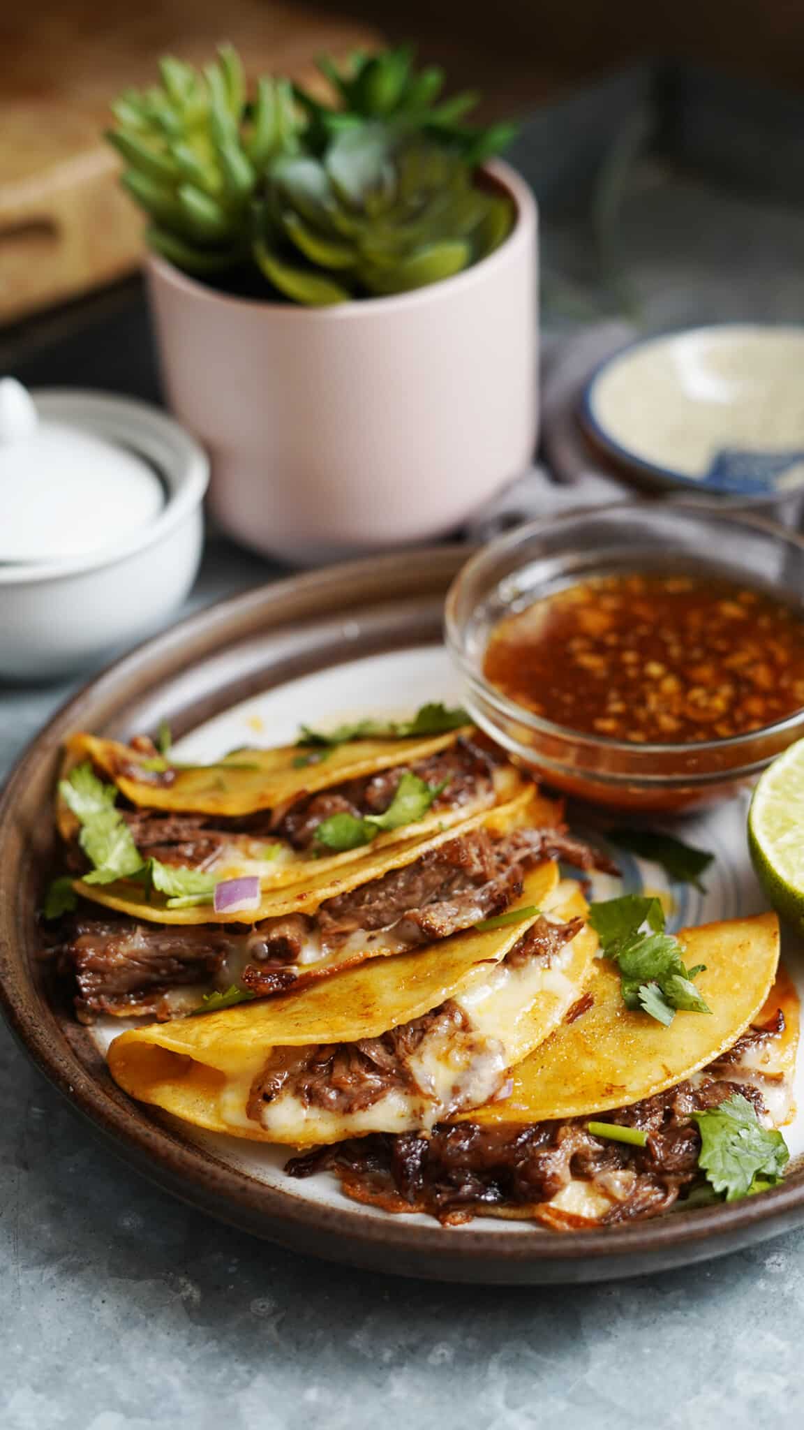Instant Pot Birria Tacos – The Skinny Pot