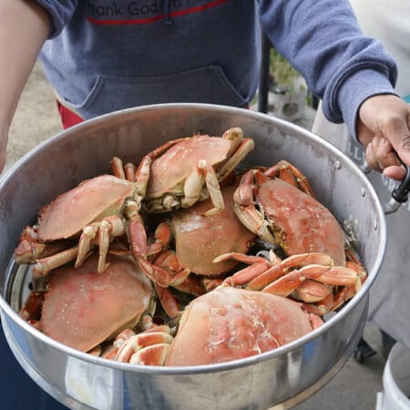 How to Cook and Clean Live Crab at Home – The Skinny Pot