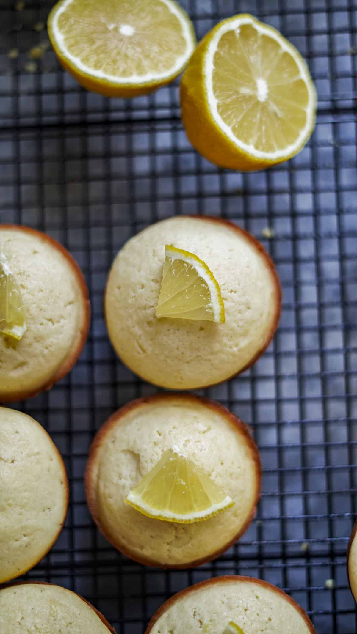 Lemon Muffins