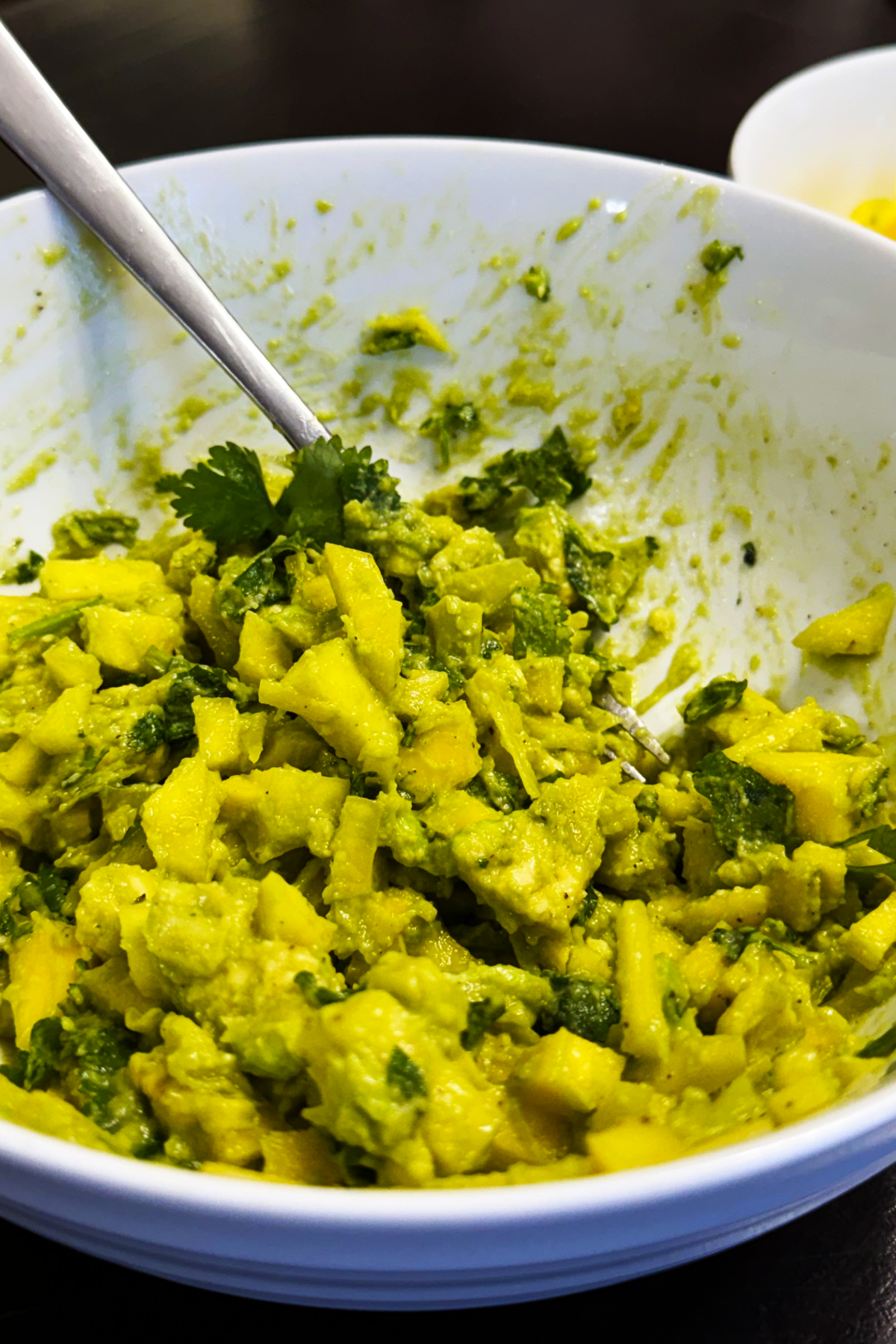 Easy Avocado Mango Salsa Recipe